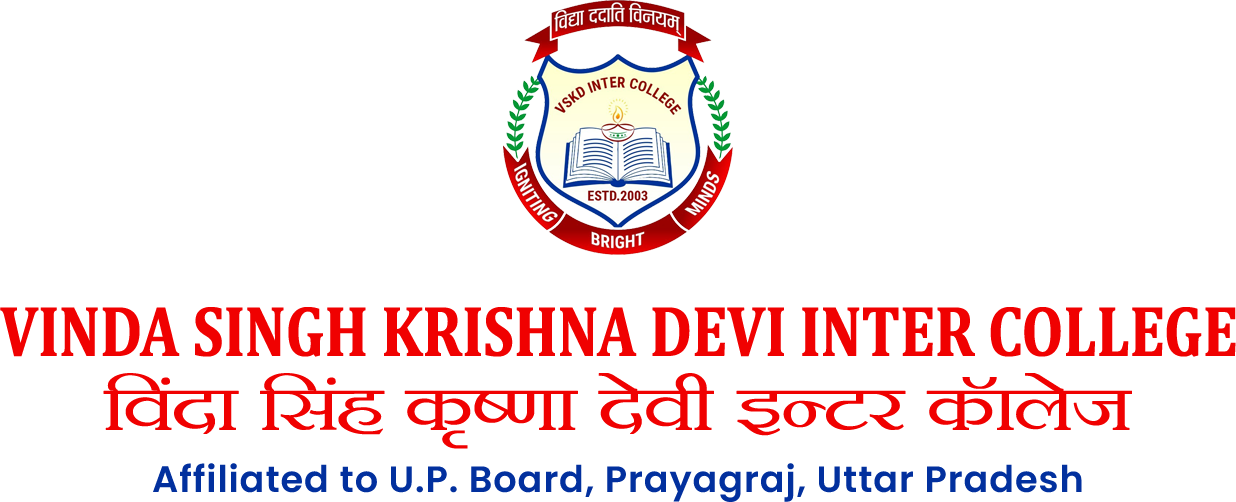 VSKD Logo